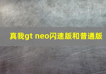 真我gt neo闪速版和普通版